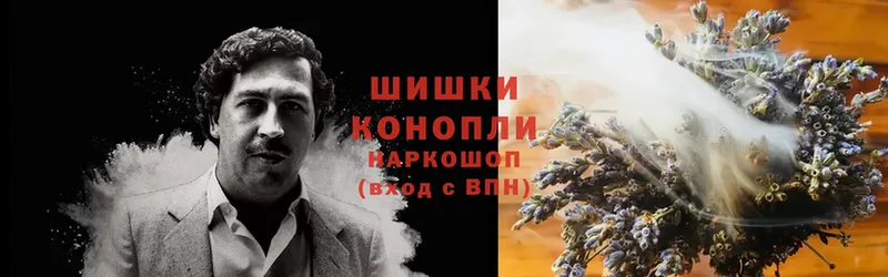 Конопля Bruce Banner  Беломорск 